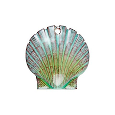 Fan Seashell #4